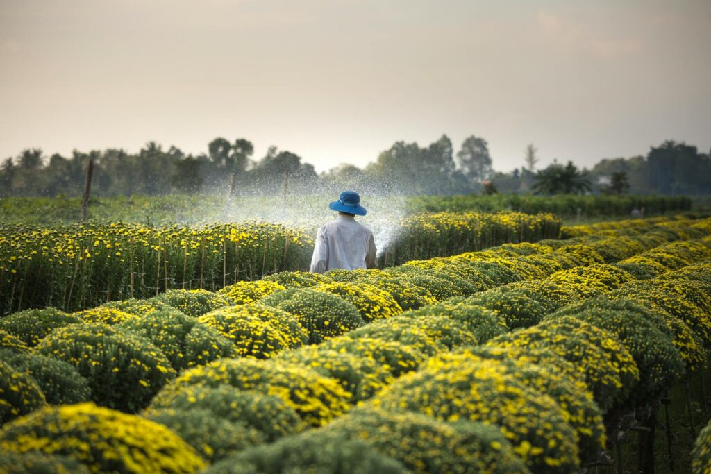 Servicios Agricultores